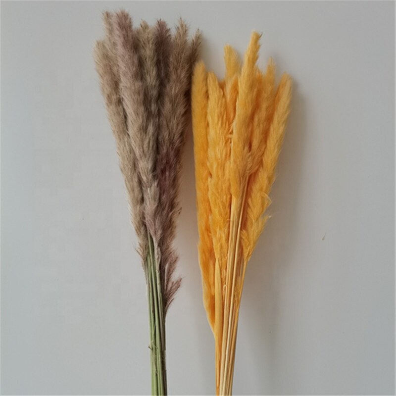 Dried Reeds Dried Flower Bouquet Artificial Flowers Pampa Pampass Grass Christmas Decoration Pampas Natural Decor House Dry Home