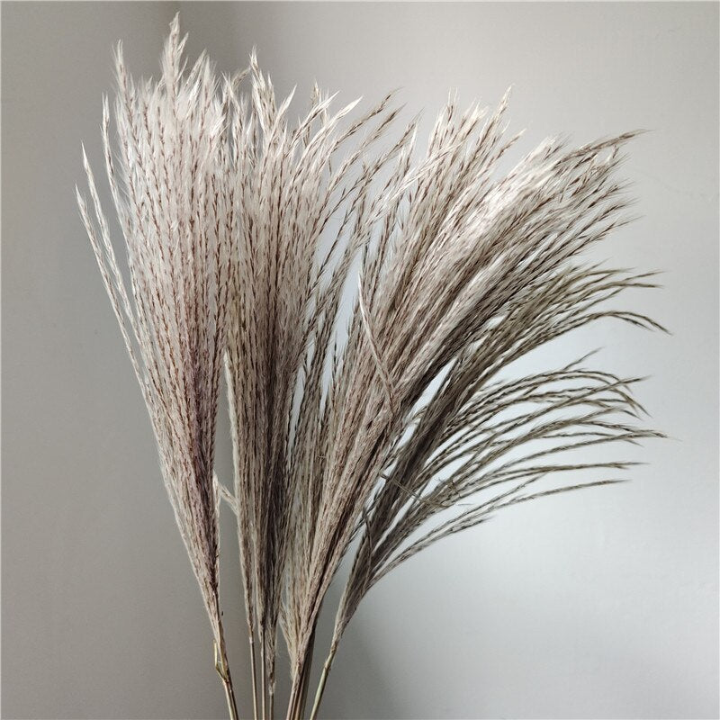 Dried Reeds Dried Flower Bouquet Artificial Flowers Pampa Pampass Grass Christmas Decoration Pampas Natural Decor House Dry Home