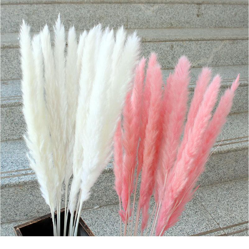 Dried Reeds Dried Flower Bouquet Artificial Flowers Pampa Pampass Grass Christmas Decoration Pampas Natural Decor House Dry Home