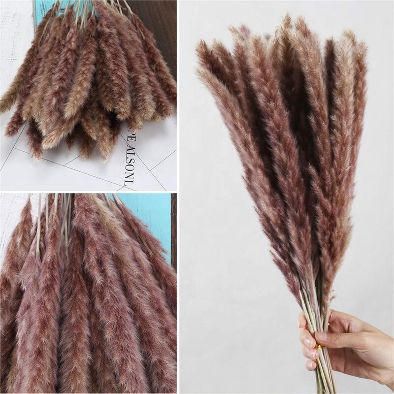 Dried Reeds Dried Flower Bouquet Artificial Flowers Pampa Pampass Grass Christmas Decoration Pampas Natural Decor House Dry Home