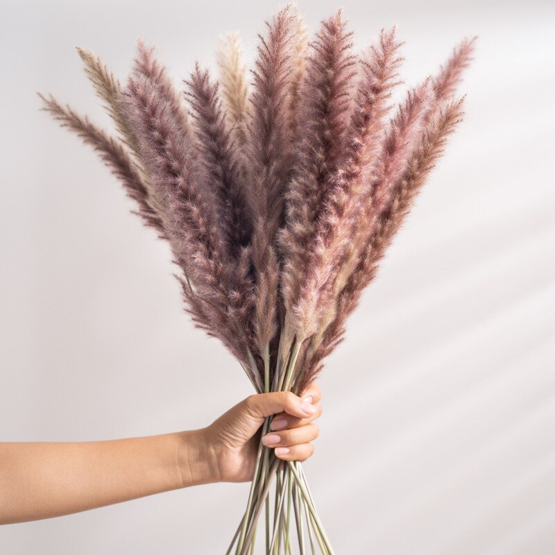 Dried Reeds Dried Flower Bouquet Artificial Flowers Pampa Pampass Grass Christmas Decoration Pampas Natural Decor House Dry Home