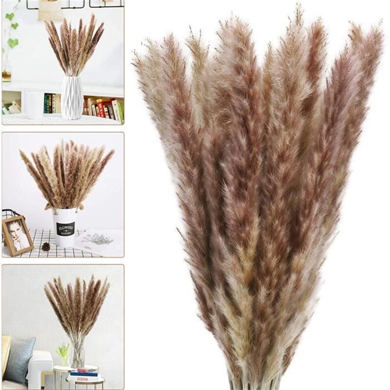 Dried Reeds Dried Flower Bouquet Artificial Flowers Pampa Pampass Grass Christmas Decoration Pampas Natural Decor House Dry Home