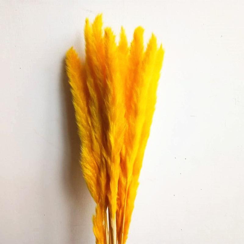 Dried Reeds Dried Flower Bouquet Artificial Flowers Pampa Pampass Grass Christmas Decoration Pampas Natural Decor House Dry Home