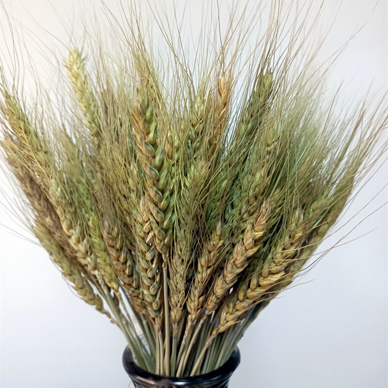 Dried Reeds Dried Flower Bouquet Artificial Flowers Pampa Pampass Grass Christmas Decoration Pampas Natural Decor House Dry Home