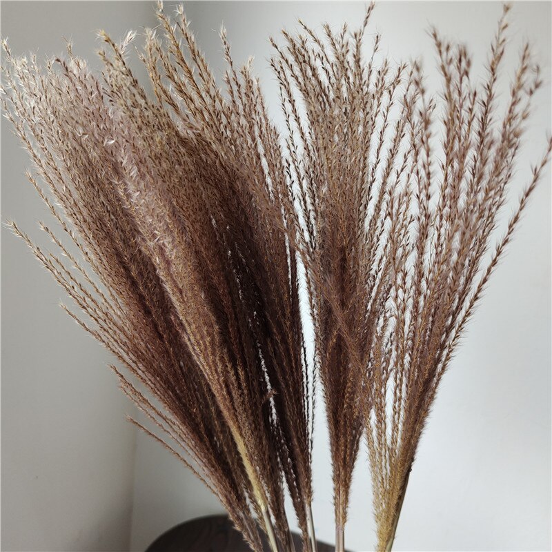 Dried Reeds Dried Flower Bouquet Artificial Flowers Pampa Pampass Grass Christmas Decoration Pampas Natural Decor House Dry Home