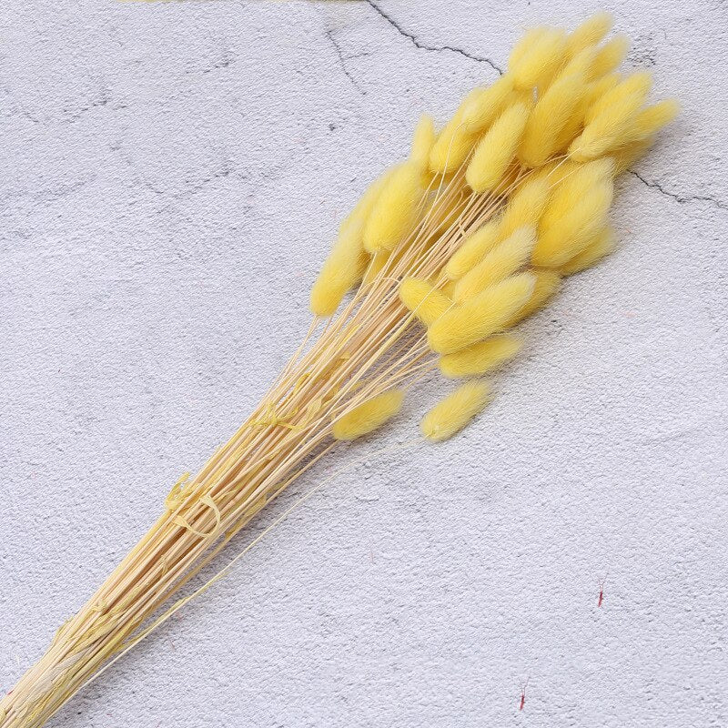 Dried Reeds Dried Flower Bouquet Artificial Flowers Pampa Pampass Grass Christmas Decoration Pampas Natural Decor House Dry Home