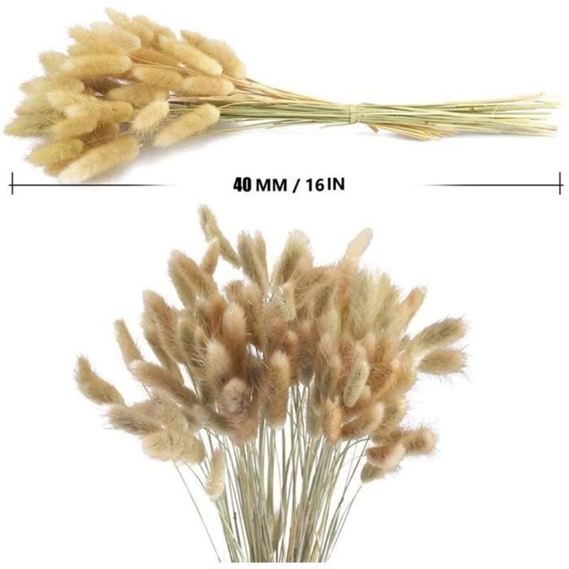 Dried Reeds Dried Flower Bouquet Artificial Flowers Pampa Pampass Grass Christmas Decoration Pampas Natural Decor House Dry Home