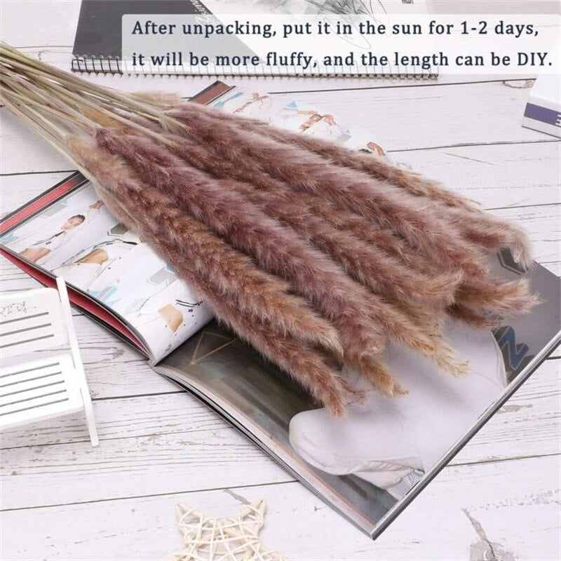 Dried Reeds Dried Flower Bouquet Artificial Flowers Pampa Pampass Grass Christmas Decoration Pampas Natural Decor House Dry Home