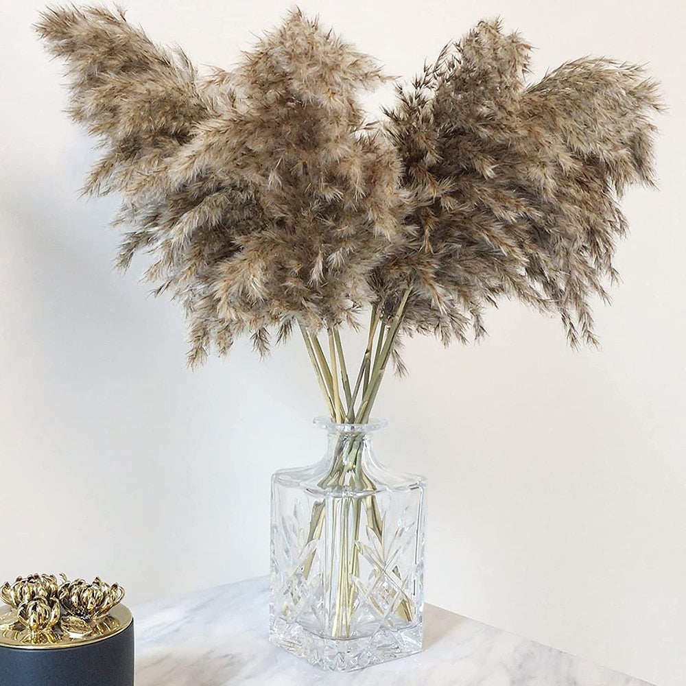 Pampas-Grass Pompous Dried Pampass Plants Fluffy Pompas Grasses 10/20/30 Stems Small Pompus Short Boho Decor Wedding Decoration