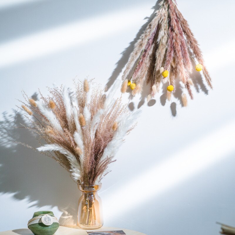 Wheat for Decoration Natural Dried Flowers Panpas Dried Pampas Grass Reed Home Decor Eternal Flower Bohemian Wedding Pampass