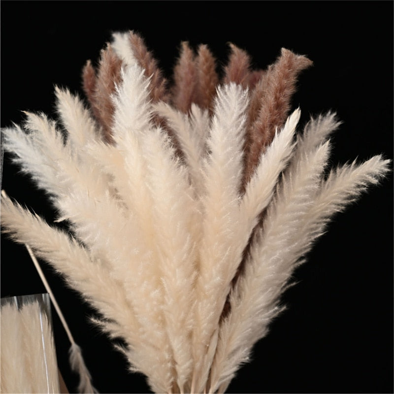 Natural Pampas Dried Flowers Bouquet Wedding Decorations Easter Decor Rabbit Tail Grass Real Flowers Home Decor Pampass Grass