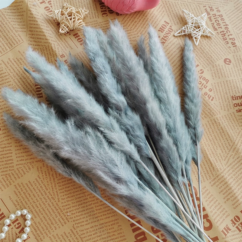 Natural Pampas Dried Flowers Bouquet Wedding Decorations Easter Decor Rabbit Tail Grass Real Flowers Home Decor Pampass Grass