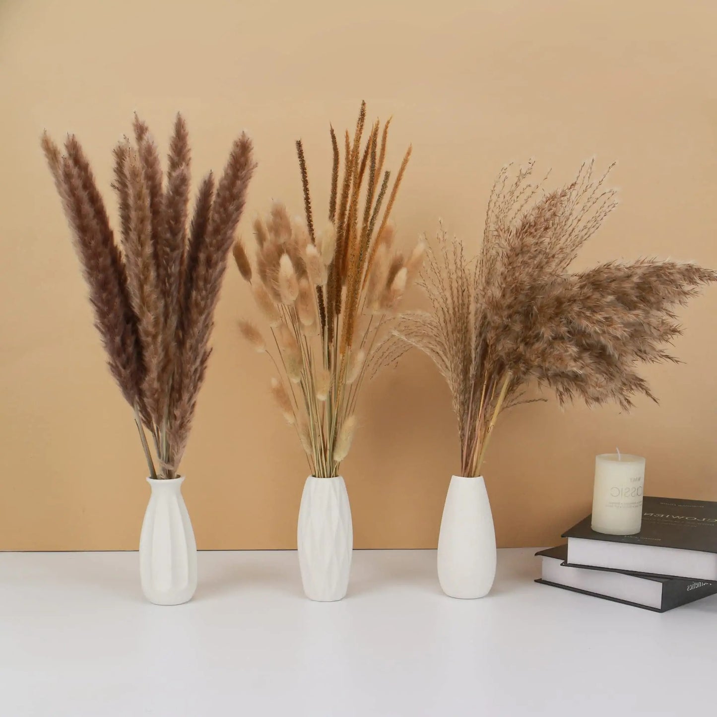 Small Pompass Bunny Tails Grass for Boho Home Living Room Farmhouse Decor Wedding Pampass Flowers Arrangement Decorations 65pcs