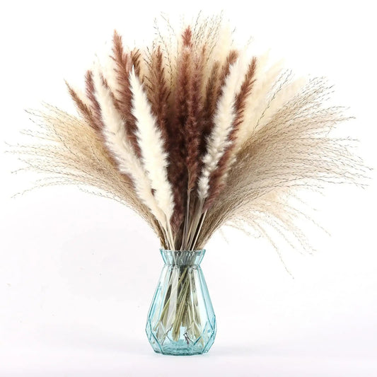 Dried Pampas Grass Pompas Floral 60PCS Pampass Grass Decor Small Pompas Grass For Boho Home Decor Wedding Flower Arrangement