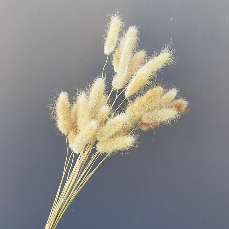 Natural Pampas Dried Flowers Bouquet Wedding Decorations Easter Decor Rabbit Tail Grass Real Flowers Home Decor Pampass Grass