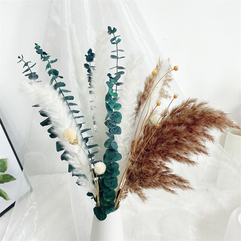 Wheat for Decoration Natural Dried Flowers Panpas Dried Pampas Grass Reed Home Decor Eternal Flower Bohemian Wedding Pampass