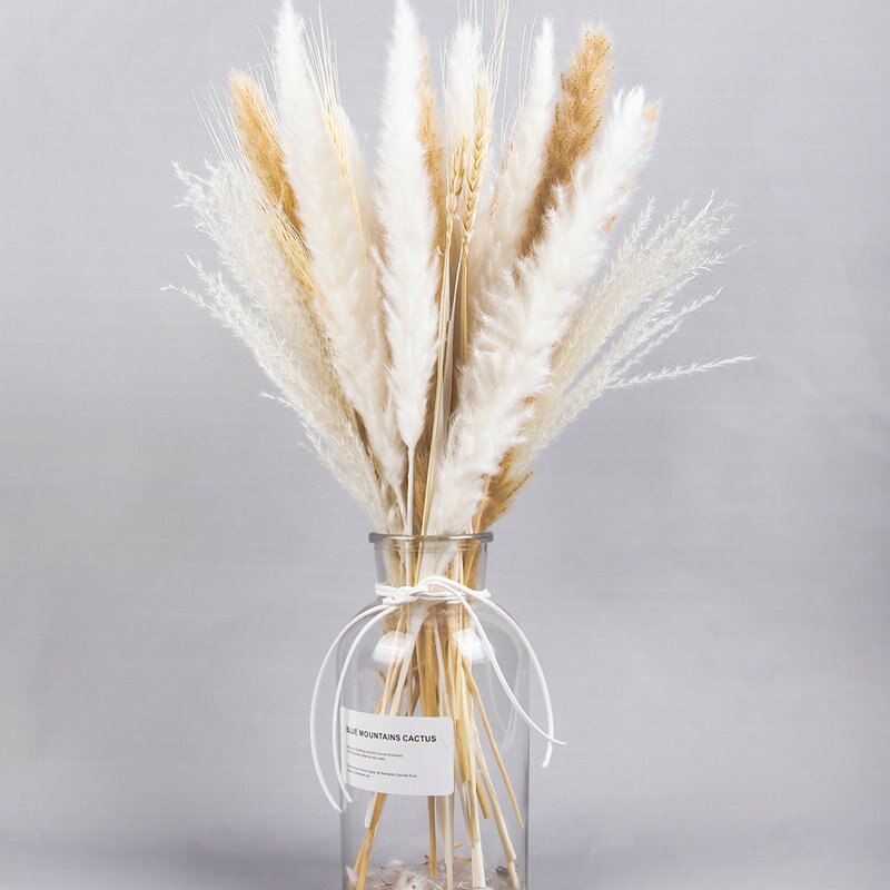 Wheat for Decoration Natural Dried Flowers Panpas Dried Pampas Grass Reed Home Decor Eternal Flower Bohemian Wedding Pampass