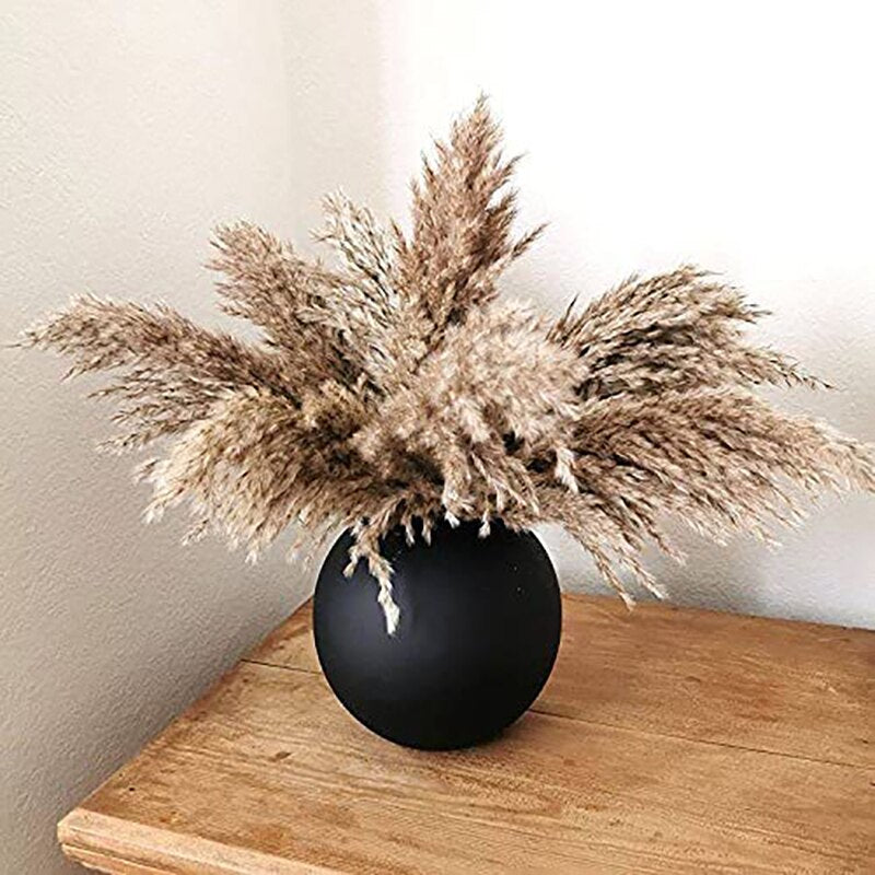 Pampas-Grass Pompous Dried Pampass Plants Fluffy Pompas Grasses 10/20/30 Stems Small Pompus Short Boho Decor Wedding Decoration