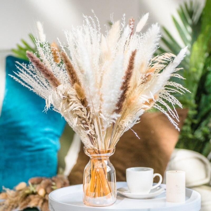 Wheat for Decoration Natural Dried Flowers Panpas Dried Pampas Grass Reed Home Decor Eternal Flower Bohemian Wedding Pampass