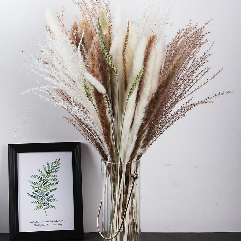 Wheat for Decoration Natural Dried Flowers Panpas Dried Pampas Grass Reed Home Decor Eternal Flower Bohemian Wedding Pampass