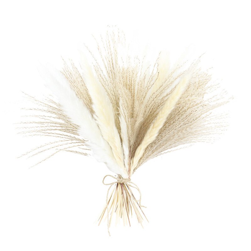 Reed Flower Bouquet Natural Dried Pampas Grass Pampass Branches Arrangement Wedding Home Office Decoration Photography Props