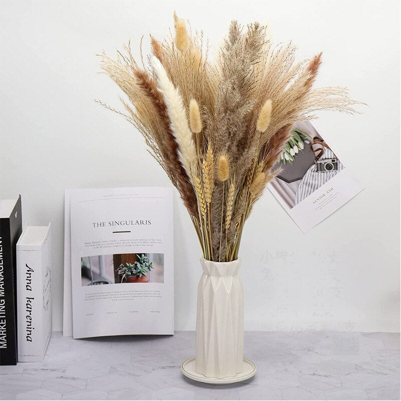 Wheat for Decoration Natural Dried Flowers Panpas Dried Pampas Grass Reed Home Decor Eternal Flower Bohemian Wedding Pampass