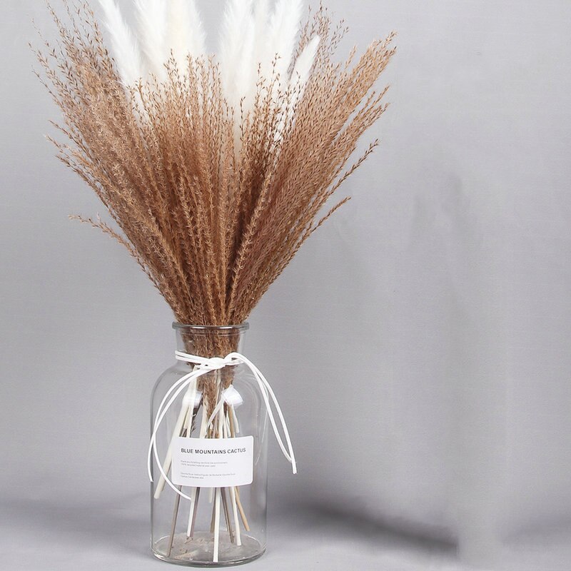 Wheat for Decoration Natural Dried Flowers Panpas Dried Pampas Grass Reed Home Decor Eternal Flower Bohemian Wedding Pampass