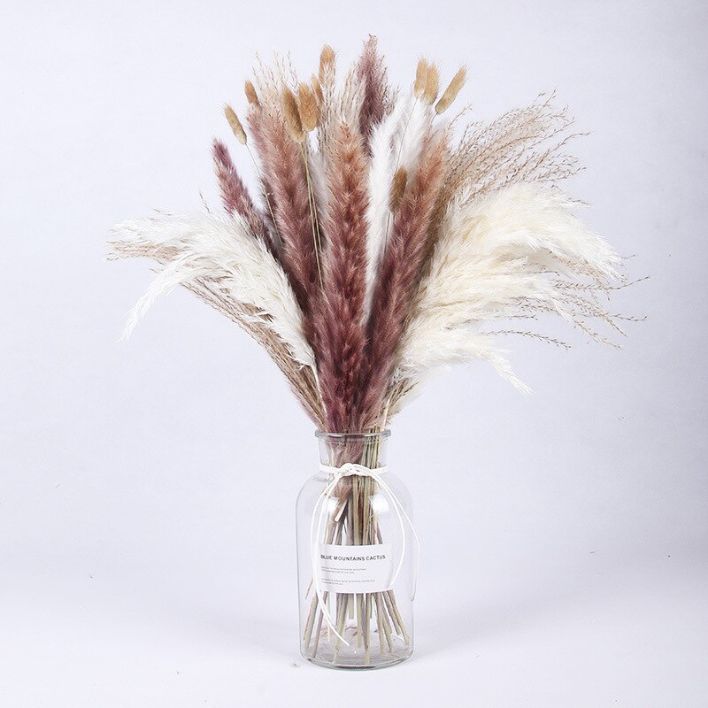 Wheat for Decoration Natural Dried Flowers Panpas Dried Pampas Grass Reed Home Decor Eternal Flower Bohemian Wedding Pampass