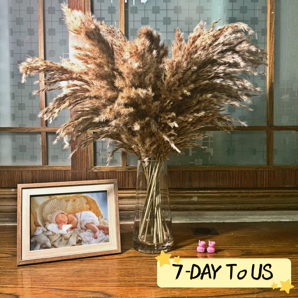 20 Stems Pompous Pampas-Grass Dried Pampass Plants Fluffy Pompas Grasses Small Pompus Short Boho Decor Total Length 21inch/55cm