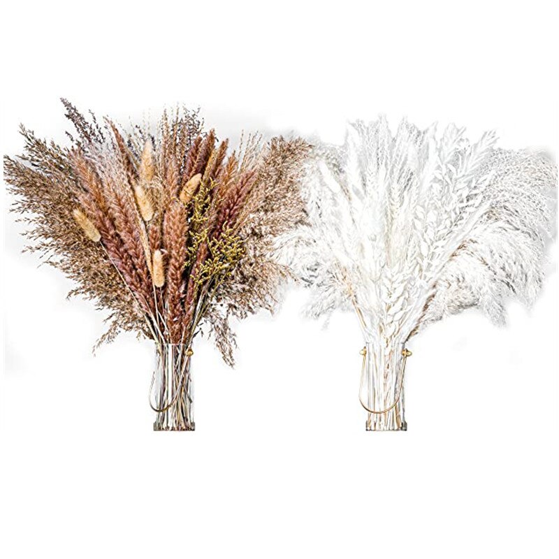 Dried Natural Flowers Plant Accessories Bunny Tail Pampass Hochzeit Dekoration Bride Bouquet Pampas Decorativas Droog Bloemen