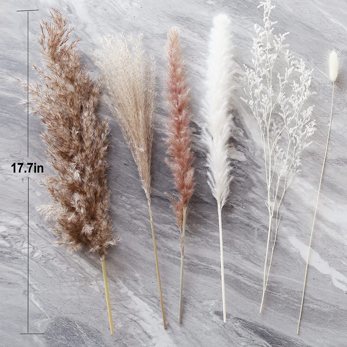 80-Piece Pampas Mix Bouquet,Pampas Decor Dried Pampas Grass Bouquet Boho Decor, 6 Dried Plants, Pampass for Bohemian Home Decor