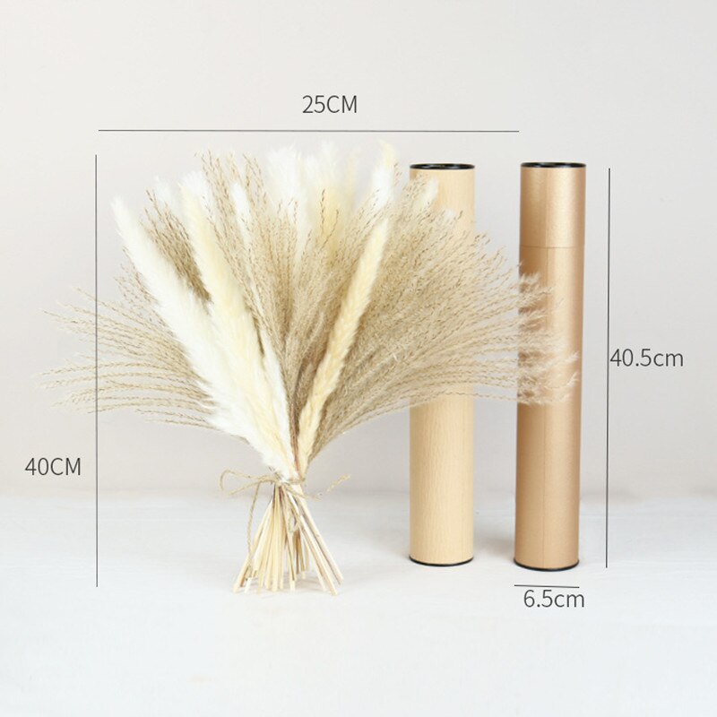 Reed Flower Bouquet Natural Dried Pampas Grass Pampass Branches Arrangement Wedding Home Office Decoration Photography Props