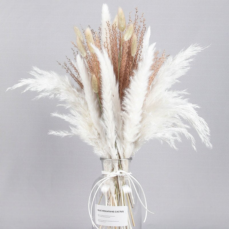 Wheat for Decoration Natural Dried Flowers Panpas Dried Pampas Grass Reed Home Decor Eternal Flower Bohemian Wedding Pampass