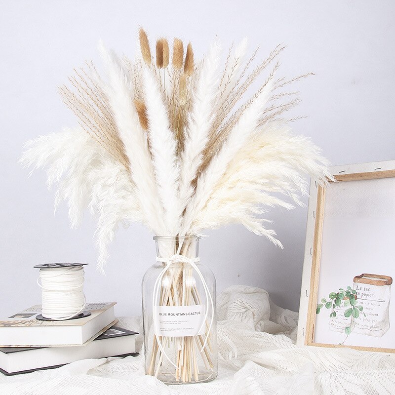 Wheat for Decoration Natural Dried Flowers Panpas Dried Pampas Grass Reed Home Decor Eternal Flower Bohemian Wedding Pampass