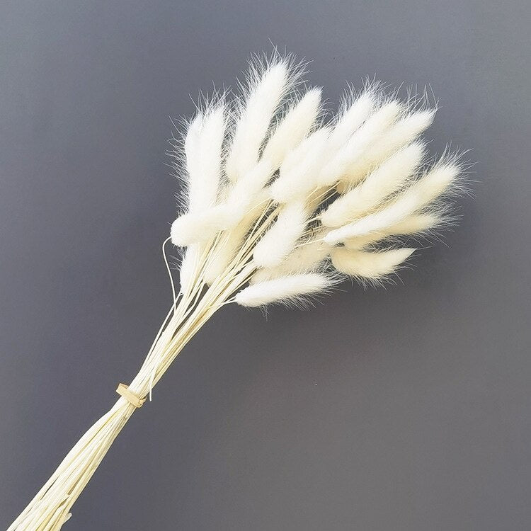 Natural Pampas Dried Flowers Bouquet Wedding Decorations Easter Decor Rabbit Tail Grass Real Flowers Home Decor Pampass Grass