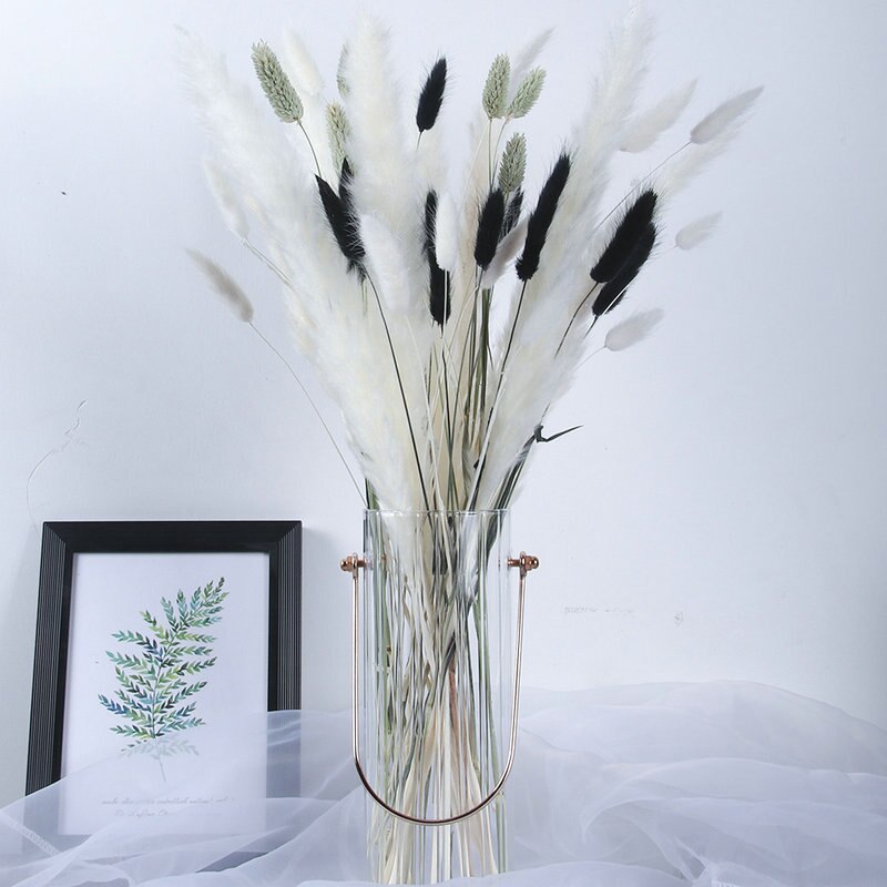 Wheat for Decoration Natural Dried Flowers Panpas Dried Pampas Grass Reed Home Decor Eternal Flower Bohemian Wedding Pampass