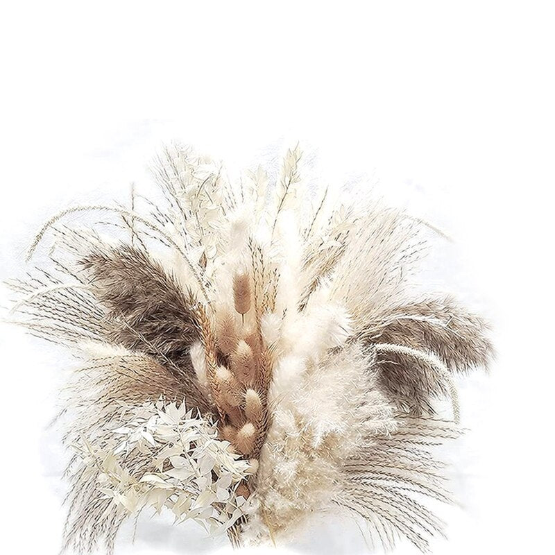 Dried Natural Flowers Plant Accessories Bunny Tail Pampass Hochzeit Dekoration Bride Bouquet Pampas Decorativas Droog Bloemen