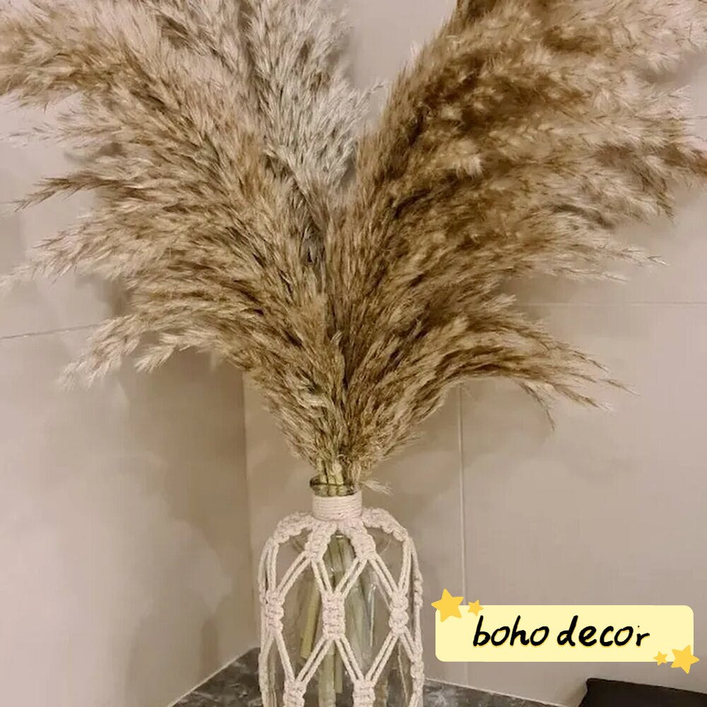 20 Stems Pompous Pampas-Grass Dried Pampass Plants Fluffy Pompas Grasses Small Pompus Short Boho Decor Total Length 21inch/55cm