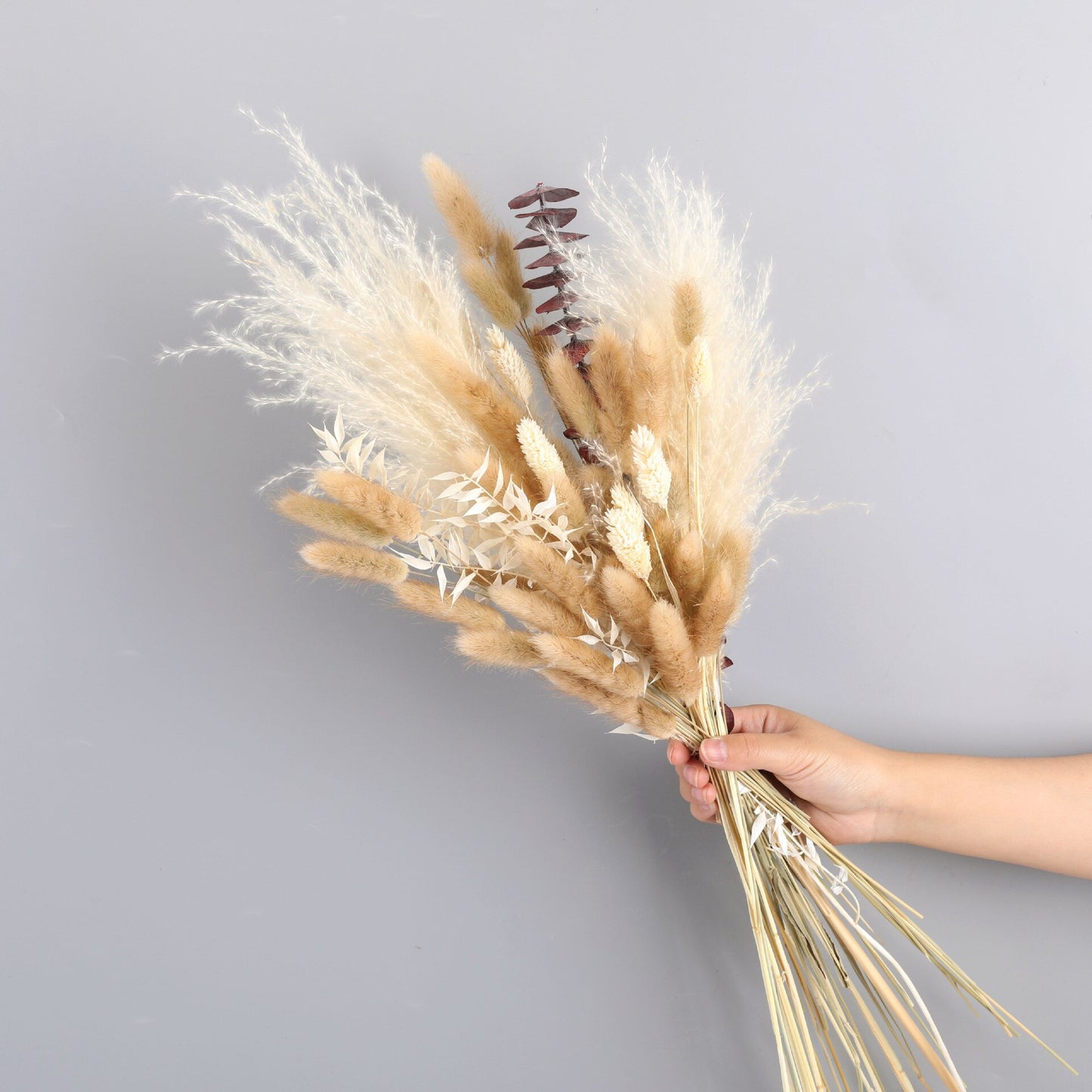 Wheat for Decoration Natural Dried Flowers Panpas Dried Pampas Grass Reed Home Decor Eternal Flower Bohemian Wedding Pampass