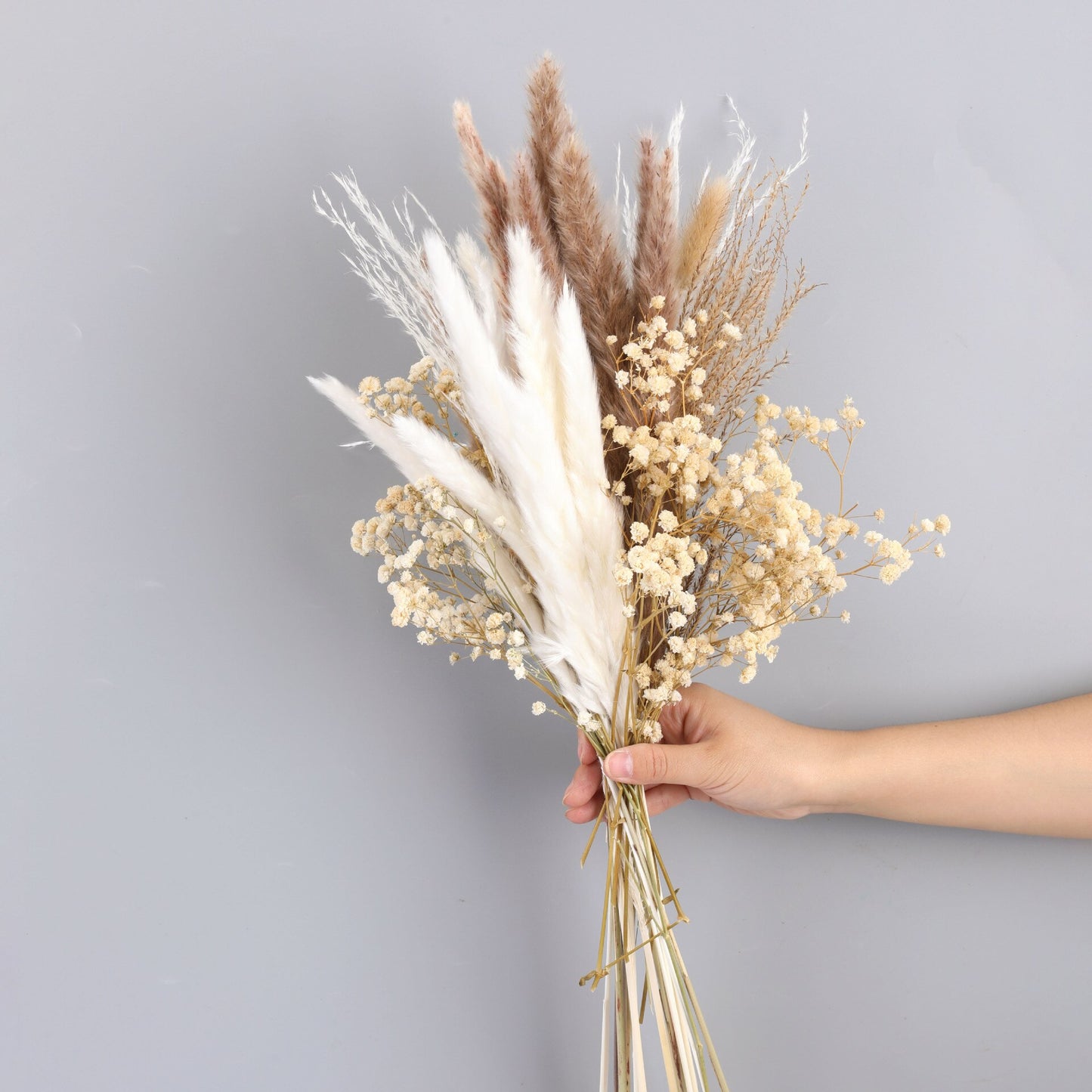 Wheat for Decoration Natural Dried Flowers Panpas Dried Pampas Grass Reed Home Decor Eternal Flower Bohemian Wedding Pampass