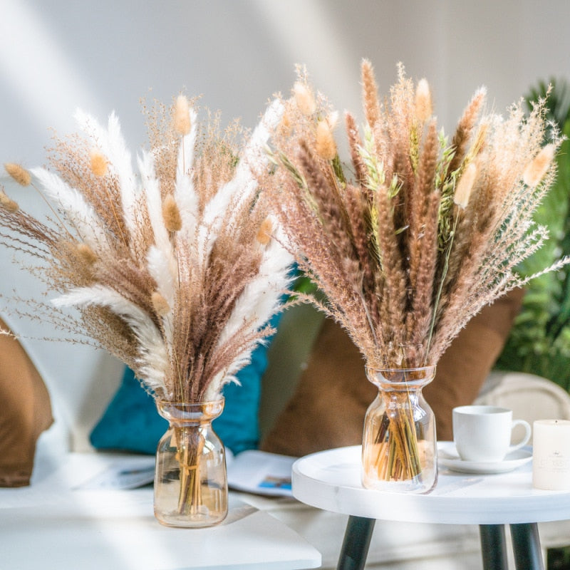 Wheat for Decoration Natural Dried Flowers Panpas Dried Pampas Grass Reed Home Decor Eternal Flower Bohemian Wedding Pampass