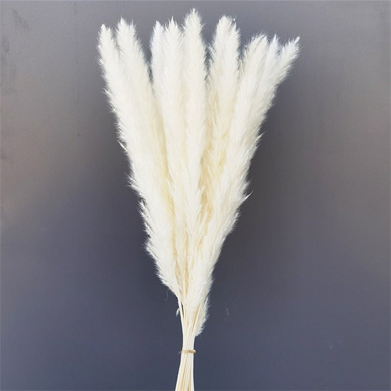 Natural Pampas Dried Flowers Bouquet Wedding Decorations Easter Decor Rabbit Tail Grass Real Flowers Home Decor Pampass Grass