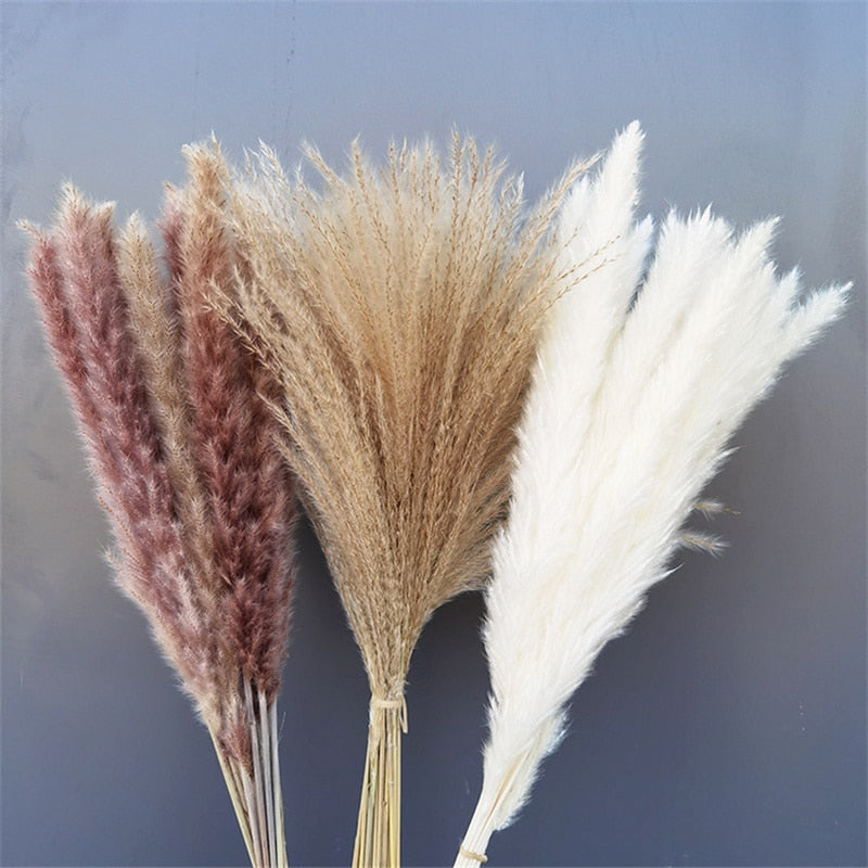 Natural Pampas Dried Flowers Bouquet Wedding Decorations Easter Decor Rabbit Tail Grass Real Flowers Home Decor Pampass Grass