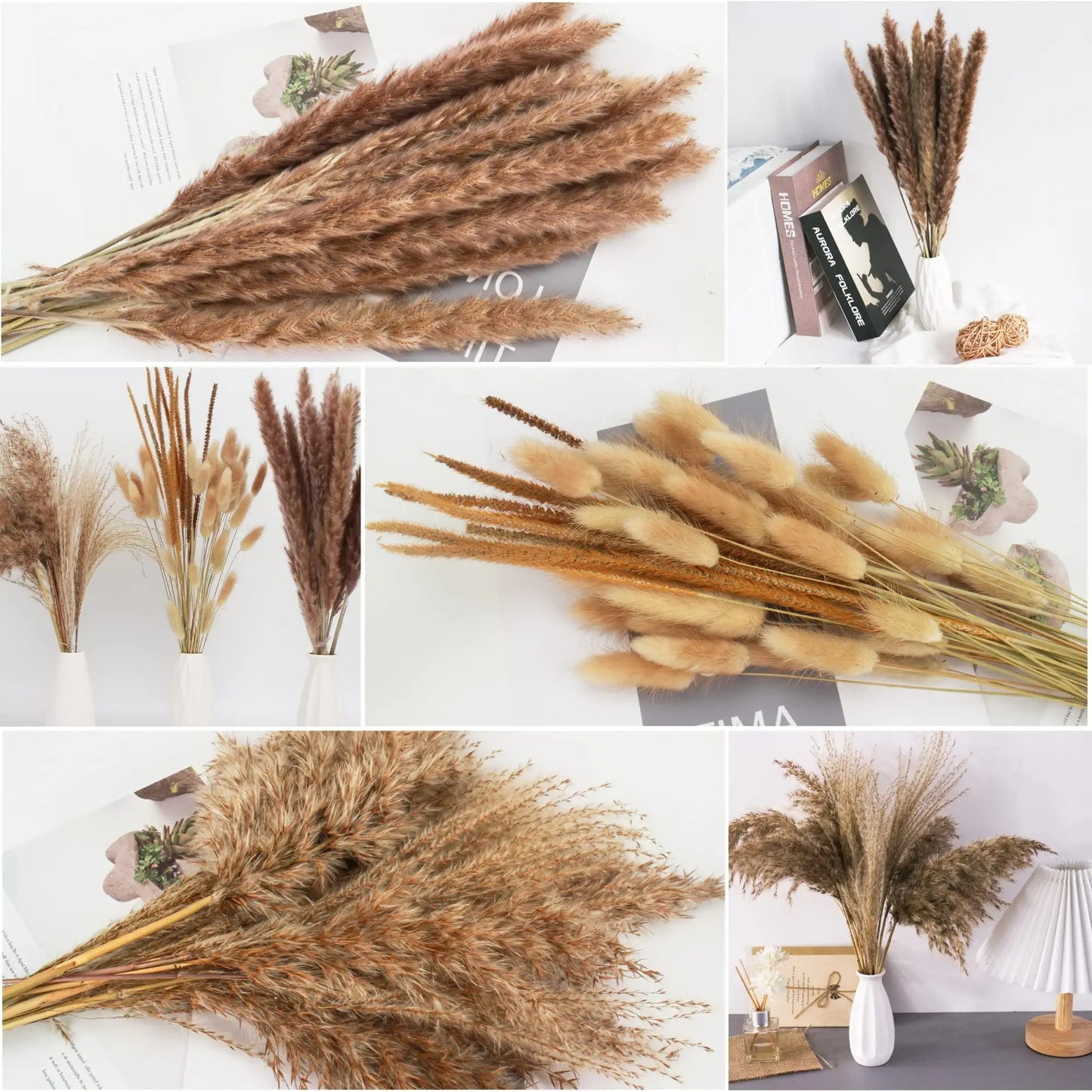 Small Pompass Bunny Tails Grass for Boho Home Living Room Farmhouse Decor Wedding Pampass Flowers Arrangement Decorations 65pcs