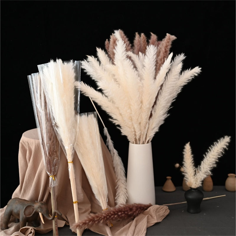 Natural Pampas Dried Flowers Bouquet Wedding Decorations Easter Decor Rabbit Tail Grass Real Flowers Home Decor Pampass Grass