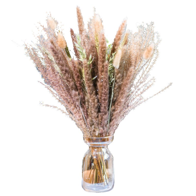 Wheat for Decoration Natural Dried Flowers Panpas Dried Pampas Grass Reed Home Decor Eternal Flower Bohemian Wedding Pampass