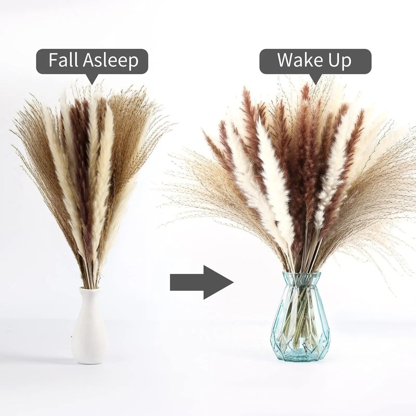 Dried Pampas Grass Pompas Floral 60PCS Pampass Grass Decor Small Pompas Grass For Boho Home Decor Wedding Flower Arrangement