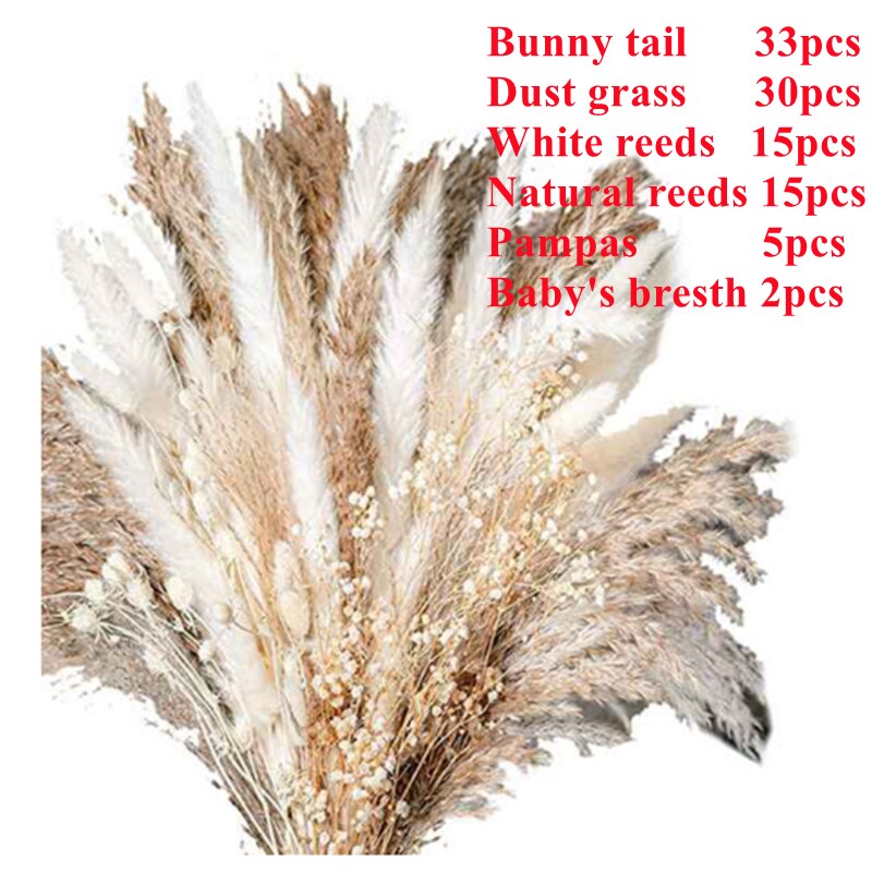 Dried Natural Flowers Plant Accessories Bunny Tail Pampass Hochzeit Dekoration Bride Bouquet Pampas Decorativas Droog Bloemen