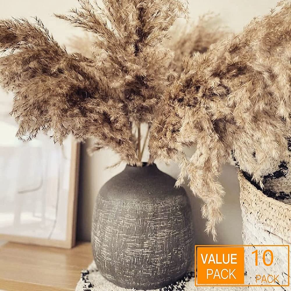 Pampas-Grass Pompous Dried Pampass Plants Fluffy Pompas Grasses 10/20/30 Stems Small Pompus Short Boho Decor Wedding Decoration