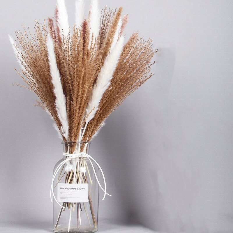 Wheat for Decoration Natural Dried Flowers Panpas Dried Pampas Grass Reed Home Decor Eternal Flower Bohemian Wedding Pampass